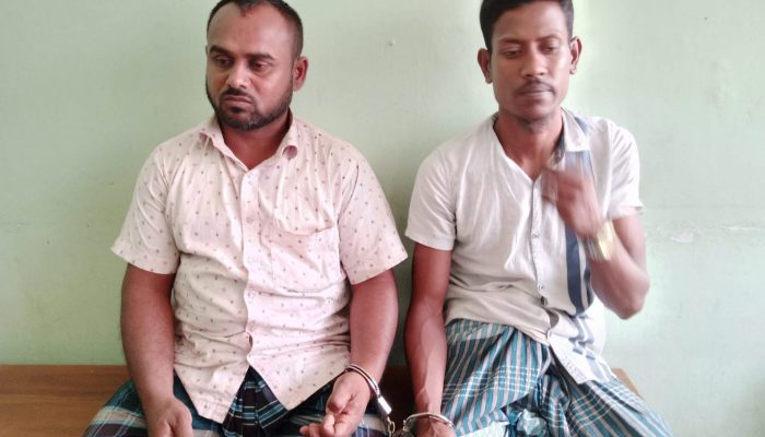 শৈলকুপায় র‍্যাবের হানা: ৯ কেজি গাঁজাসহ ধরা ২ মাদক কারবারি