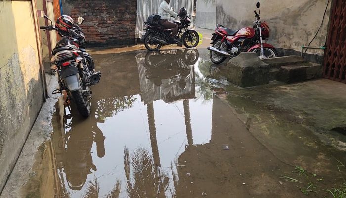 টেকসই ড্রেনেজ ও সড়ক বাতির অভাব: শৈলকুপা পৌরসভার ৫নং ওয়ার্ডে নাগরিকদের চরম দুর্ভোগ